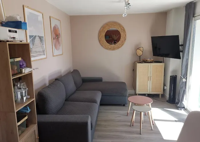 Superbe T2, Terrasse, Piscine Et Parking, Eden Roc Ii Narbonne Plage